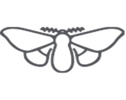 Urban Laminate Features Moth Proof